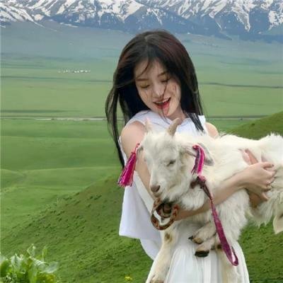古墓丽影 在线观看封面